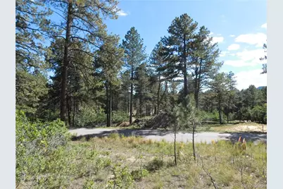 773 Copper Fox Place, Larkspur, CO 80118 - Photo 13