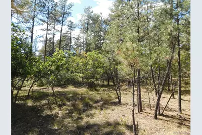 773 Copper Fox Place, Larkspur, CO 80118 - Photo 31