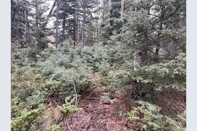 Lot 3091 Sterenson Place, Fort Garland, CO 81133 - Photo 11