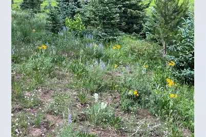 Lot 3091 Sterenson Place, Fort Garland, CO 81133 - Photo 3