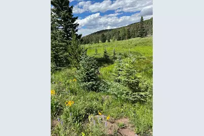 Lot 3091 Sterenson Place, Fort Garland, CO 81133 - Photo 1