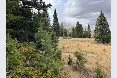 Lot 3091 Sterenson Place, Fort Garland, CO 81133 - Photo 31