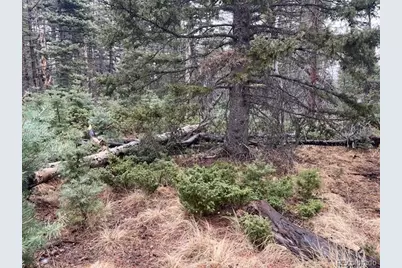 Lot 3091 Sterenson Place, Fort Garland, CO 81133 - Photo 9