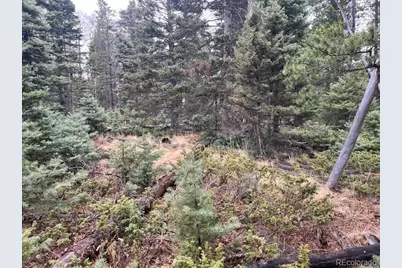 Lot 3091 Sterenson Place, Fort Garland, CO 81133 - Photo 7