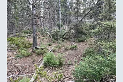 Lot 3091 Sterenson Place, Fort Garland, CO 81133 - Photo 37