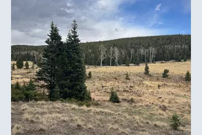 Lot 3091 Sterenson Place, Fort Garland, CO 81133 - Photo 19