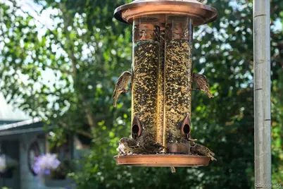 717 Lake Avenue, Grand Lake, CO 80447 - Photo 23