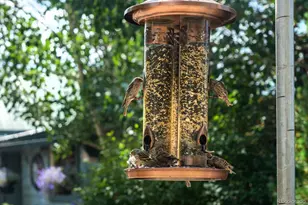 717 Lake Ave, Grand Lake, CO 80447 - Photo 23