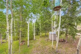20341 Cypress Dr, Morrison, CO 80465 - Photo 21