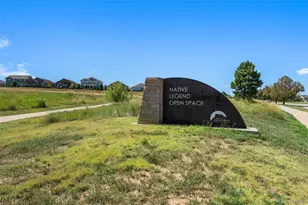 4298 N Meadows Dr, Castle Rock, CO 80109 - Photo 29
