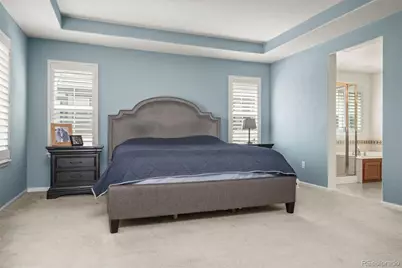 8098 Grady Circle, Castle Rock, CO 80108 - Photo 23