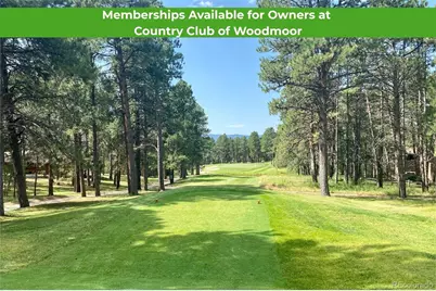 425 Tam O Shanter Way, Monument, CO 80132 - Photo 49