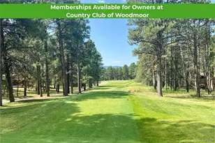 425 Tam O Shanter Way, Monument, CO 80132 - Photo 49