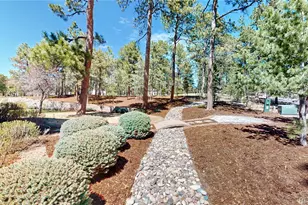 425 Tam O Shanter Way, Monument, CO 80132 - Photo 9