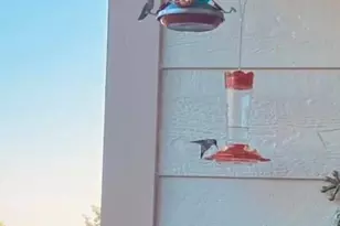 491 S Kalispell Way, Aurora, CO 80017 - Photo 29