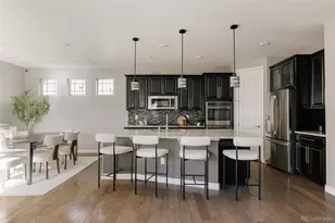 6059 Boston St, Denver, CO 80238 - Photo 5