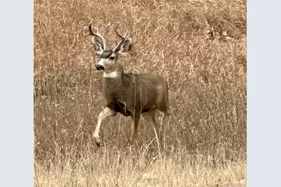 20999 Woodside Lane, Parker, CO 80138 - Photo 45