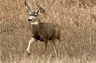 20999 Woodside Ln, Parker, CO 80138 - Photo 45