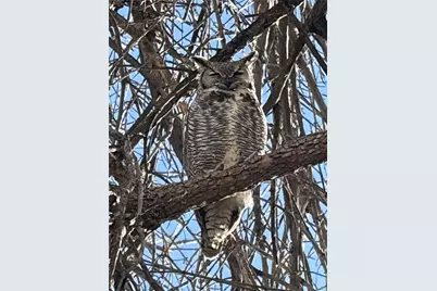 20999 Woodside Lane, Parker, CO 80138 - Photo 43