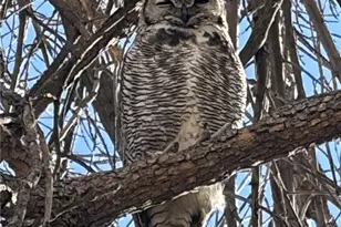 20999 Woodside Ln, Parker, CO 80138 - Photo 43