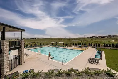 8615 Yellowcress Street, Littleton, CO 80125 - Photo 7