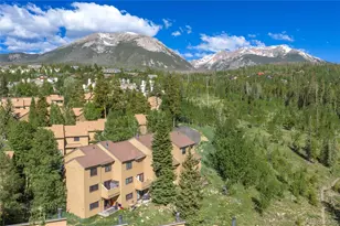 6726 Ryan Gulch Rd, Silverthorne, CO 80498 - Photo 25
