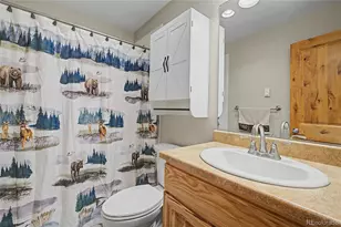 6726 Ryan Gulch Rd, Silverthorne, CO 80498 - Photo 15