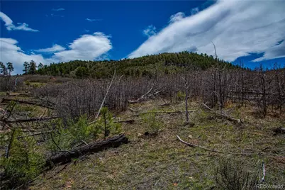 221 Cottonwood Drive, Cotopaxi, CO 81223 - Photo 7