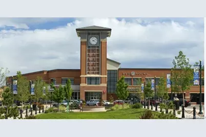 65 Sylvestor Place, Highlands Ranch, CO 80129 - Photo 41