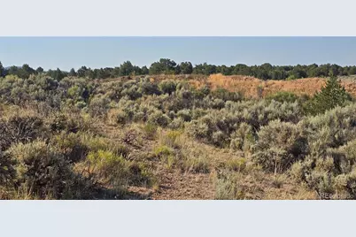 Lot 4075 Tiernan Road, Fort Garland, CO 81133 - Photo 7