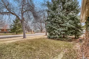 4845 Ellis St, Golden, CO 80403 - Photo 7