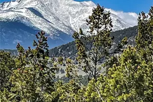 18673 State Hwy 7, Lyons, CO 80540 - Photo 5