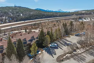 2424 Ryan Gulch Ct, Silverthorne, CO 80498 - Photo 29