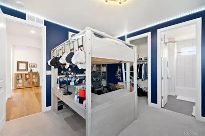 3 Wild Plum Court, Littleton, CO 80123 - Photo 29