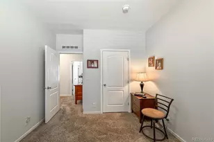 6155 Mallow Green, Frederick, CO 80530 - Photo 19