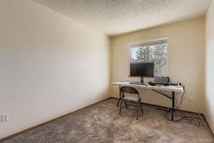 10505 Hyacinth Pl, Highlands Ranch, CO 80129 - Photo 23