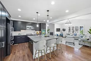 10640 Star Thistle Ct, Highlands Ranch, CO 80126 - Photo 15