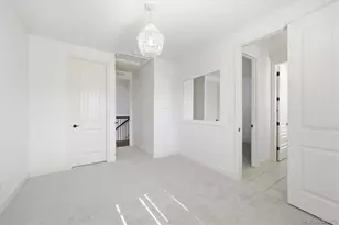 10640 Star Thistle Ct, Highlands Ranch, CO 80126 - Photo 33