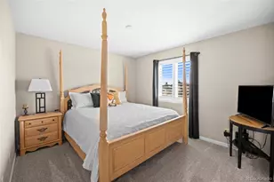 18052 Triple Crown St, Parker, CO 80134 - Photo 31