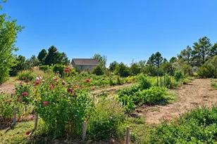 5207 Co Rd P, Wiggins, CO 80654 - Photo 47