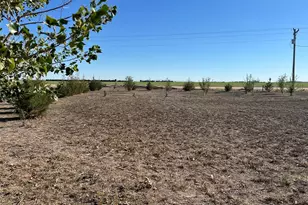 5207 Co Rd P, Wiggins, CO 80654 - Photo 37