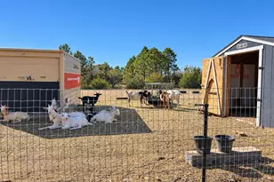 5207 Co Rd P, Wiggins, CO 80654 - Photo 49