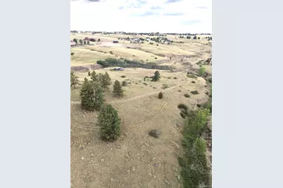 46341 Needleleaf Lane, Parker, CO 80138 - Photo 9