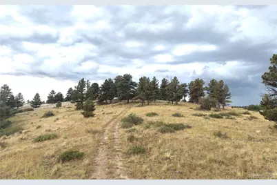 46341 Needleleaf Lane, Parker, CO 80138 - Photo 3