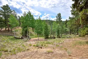 549 Mohawk Heights, Florissant, CO 80816 - Photo 41