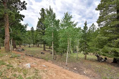 549 Mohawk Heights, Florissant, CO 80816 - Photo 47