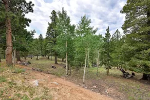 549 Mohawk Heights, Florissant, CO 80816 - Photo 47