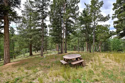 549 Mohawk Heights, Florissant, CO 80816 - Photo 45
