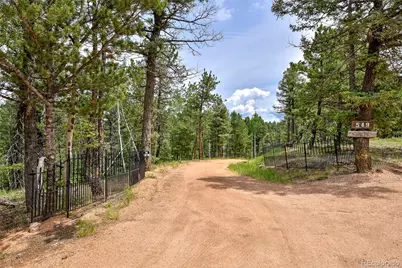 549 Mohawk Heights, Florissant, CO 80816 - Photo 49