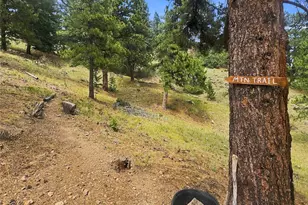 30937 Isenberg Ln, Evergreen, CO 80439 - Photo 47